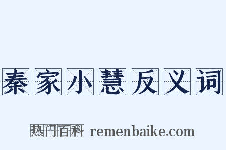 秦家小慧反义词是什么意思的图片
